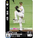 ドリームオーダー PBP02-H03 有