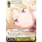 ヴァイスシュヴァルツFGO/S87...