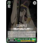 ヴァイスシュヴァルツFGO/S87...