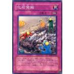 化石発掘 - ノーマル/SD09-JP036