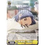 ヴァイスシュヴァルツIAS/SE5...