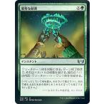 Yahoo! Yahoo!ショッピング(ヤフー ショッピング)【FOIL】マジックザギャザリング SNC JP 152 豪勢な献酒 （日本語版 アンコモン） ニューカペナの街角