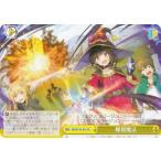 ヴァイスシュヴァルツ