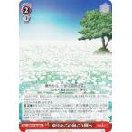 ヴァイスシュヴァルツ SMP/W130-085 ゆりかごの向こう側へ (U アンコモン) ブースターパック Summer Pockets REFLECTION BLUE Re:Edit