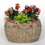 ˧���� ��������ݥå� RP-107 ȭ �ʥ����륬���ǥ� �ݥå� ���󥹥��Ǥ� ������ �󤻿���