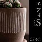 �ߥ塼��ߥ� �ã�003��g�� ���ե����쥤�� ����ƥꥢ�������������� �������˾��� ¿���������ǥå��� ��������� ���襤�������ä�����