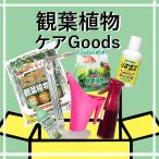 福袋 福箱 植物を元気に冬越させよう♪ おまけ付き　特価セール お買い得 園芸薬品 園芸用品