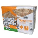  Новая Зеландия производство компрессия вода мох 1kg(80L) MIX товар 