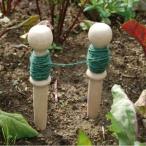 NUTSCENE �ڥ��å� �ѹ� �ڱ� ���� ������� �ʥåĥ�����