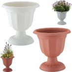  Apple одежда - Queen cup D-28 type горшок посадочная машина подставка cup ....... Queen cup 