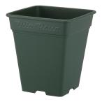 ���åץ륦������ �������������� 390�� �Х� ���˥ե��� ����å�