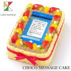 SNS風メッセージケーキ フルーツ生チョコクリーム 22×14cm バースデーケーキ