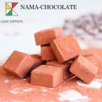 生チョコレート 12個入り お取り寄せスイーツ プレゼント 自分へのご褒美 お礼 挨拶 冷凍
