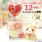 バルーン電報 ぬいぐるみ電報 猫 ミニにゃんこ＆ミニフラワー＆選べるバルーン 祝電 結婚式 誕生日 発表会 バレンタイン 入学 卒業 部活 引退 プレゼント