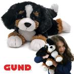 【GUND】ランダルドッグ（バーニーズ・マウンテンドッグ） アニマル 動物 犬グッズ