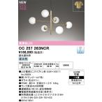 OC257263NCRオーデリック...