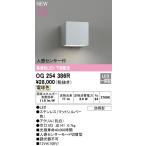 ショッピングオーデリック OG254386R 最新モデル  LEDポーチライト  オーデリック