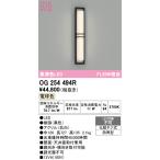 ショッピングオーデリック OG254494R 最新モデル  LEDポーチライト  オーデリック