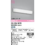 ショッピングオーデリック OG254507R 最新モデル  LEDポーチライト  オーデリック