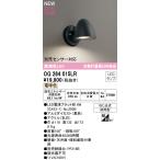 ショッピングランプ OG264015LR 最新モデル  ランプ別梱包  オーデリック