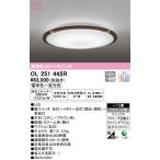2023年モデル　OL251445R LEDシーリングライト  オーデリック odelic LED照明