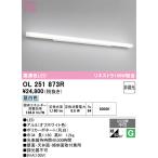 ショッピングオーデリック OL251873R 最新モデル  LEDブラケット  オーデリック