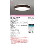 2023年モデル　OL291434BR LEDシーリングライト  オーデリック odelic LED照明