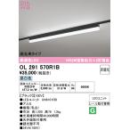 OL291570R1B 最新モデル  LED光源ユニット別梱  オーデリック