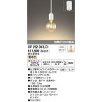 2023年モデル　OP252341LC1 ランプ別梱包  オーデリック odelic LED照明