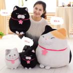 猫 抱き枕 ぬいぐるみ  猫ちゃん ネコ プレゼント ギフト 子供 動物 誕生日 お祝い 送料無料 60cm