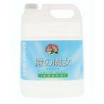 緑の魔女 ランドリー 業務用 （５Ｌ）