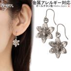 sAX `^ S   Lily tbN  yA ZJhsAX h fB[X { AM[Ή PF311pair WG WF leger