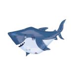 サメバルーン（5枚）