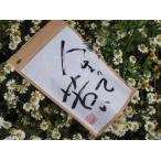  sho .. жизнь ....