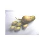  мышь дайкон 1kg входить 