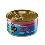 Wild Planet -. сырой. Аляска salmon розовый соль. дополнение .. не. - 6 фунт 