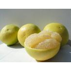 ショッピング文旦 高知産 温室水晶文旦 5キロ ご家庭用
