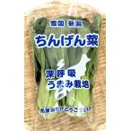 bejitabru Heart ..... подбородок gen.2 АО входить ×5 пакет низкий пестициды культивирование Niigata производство 