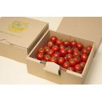 [ медведь . лекарственные травы .] три слоя префектура медведь . производство .. длина . доставка! темно-красный . мини помидоры примерно 1.2kg