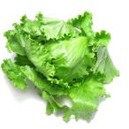 bejitabru Heart lettuce нет пестициды 6 шар 
