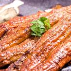 ショッピングうなぎ 国産 四万十 うなぎ 国産 蒲焼き 特大 200g×2尾 セット お歳暮ギフト