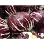  America производство tore винт превосходящий товар 12 шар ввод ( коробка )tore бисер let цикорий красный . цикорий 