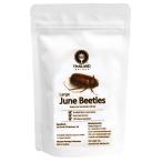 еда для Large June Beetles 15g (koganemsi большой 15g) насекомое еда 