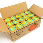 ショッピング広島 広島銘菓 因島の はっさくシャーベット ７５ｇ ６０個セット tau 広島県産 八朔シャーベット おりづるタワー人気商品 お土産