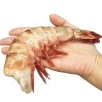  супер супер очень большой размер примерно 16 хвост ~24 хвост ввод 4/6 размер 1.8kg.. натуральный si- Tiger нет голова .. очень большой огромный натуральный Black Tiger plipli балка be