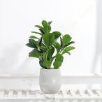 フェイクグリーン ミニ観葉植物 フェイク 人工観葉植物 卓上鉢植え 造花 卓上用 インテリア 小物 可愛い 飾り 水やり不要 お世話不要 結婚式 新築祝い 母の日