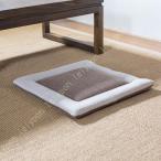 TANPUGV クッション 大判 フロアクッ�