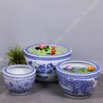 鉢陶器大型深い睡蓮鉢底穴無し水耕栽...