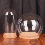 ジュエリー展示 ガラスドーム 円柱 卓上装飾 ミニブーケ オブジェ 模型/フィギュア/小物展示 フィギュア/ブロック 整理 フラワーオブジェ バレンタイン