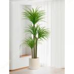 ドラセナ 人工観葉植物 大型 フェイクグ